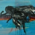 Obraz Fraser Brocklehurst Fly + rock, 2008, olej, plátno, 27 x 43 cm