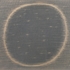 Obraz Anežka Kovalová Tmavý kruh, 1995, uhel, papír, 54 x 61 cm