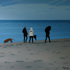 Obraz Petr Malina U pobřeží Baltu, 2011, olej, plátno, 170 x 230 cm